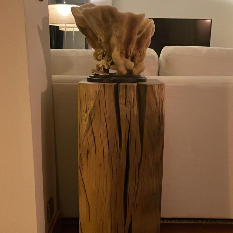 abanoz_web_u╠êru╠ênler-01 Silinmiş Meşe