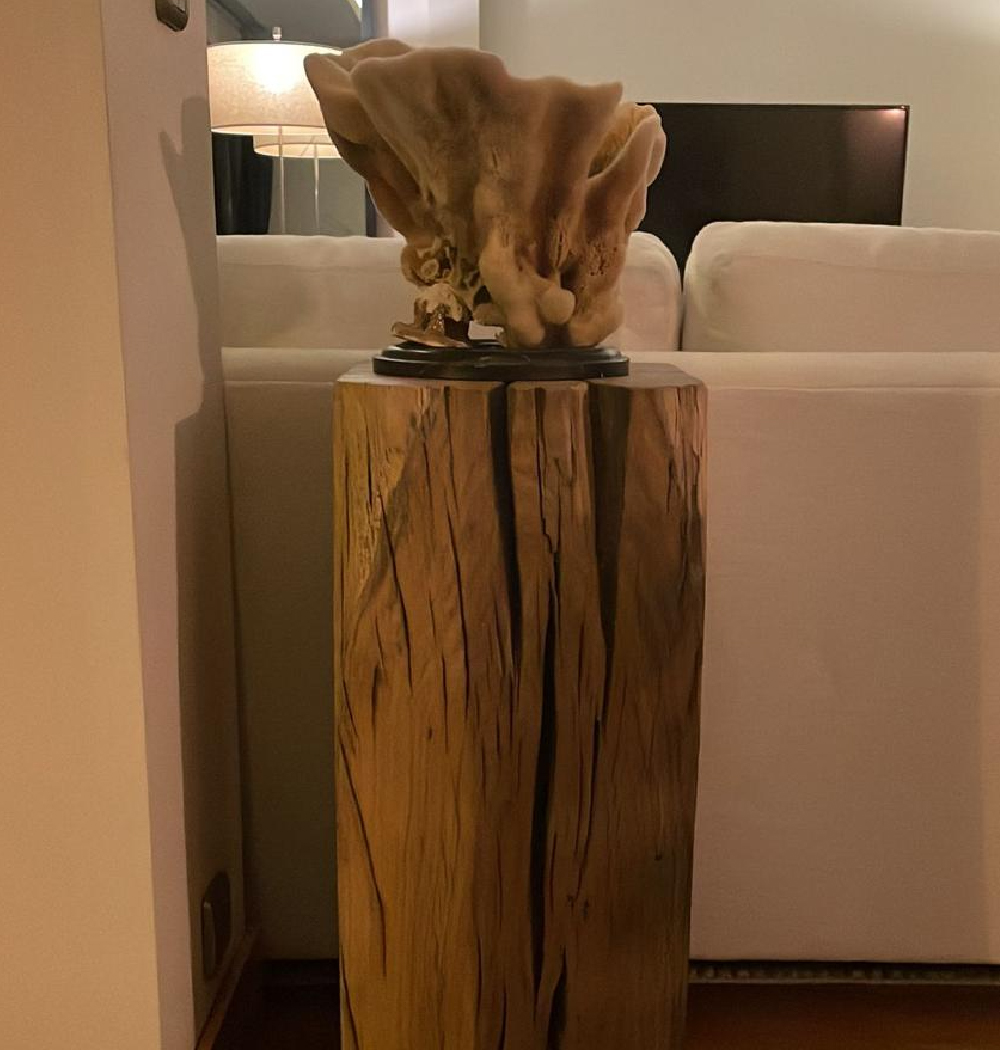 abanoz_web_u╠êru╠ênler-01 Silinmiş Meşe